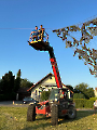 Gartenfest