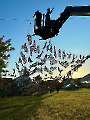 2023_Gartenfest_006